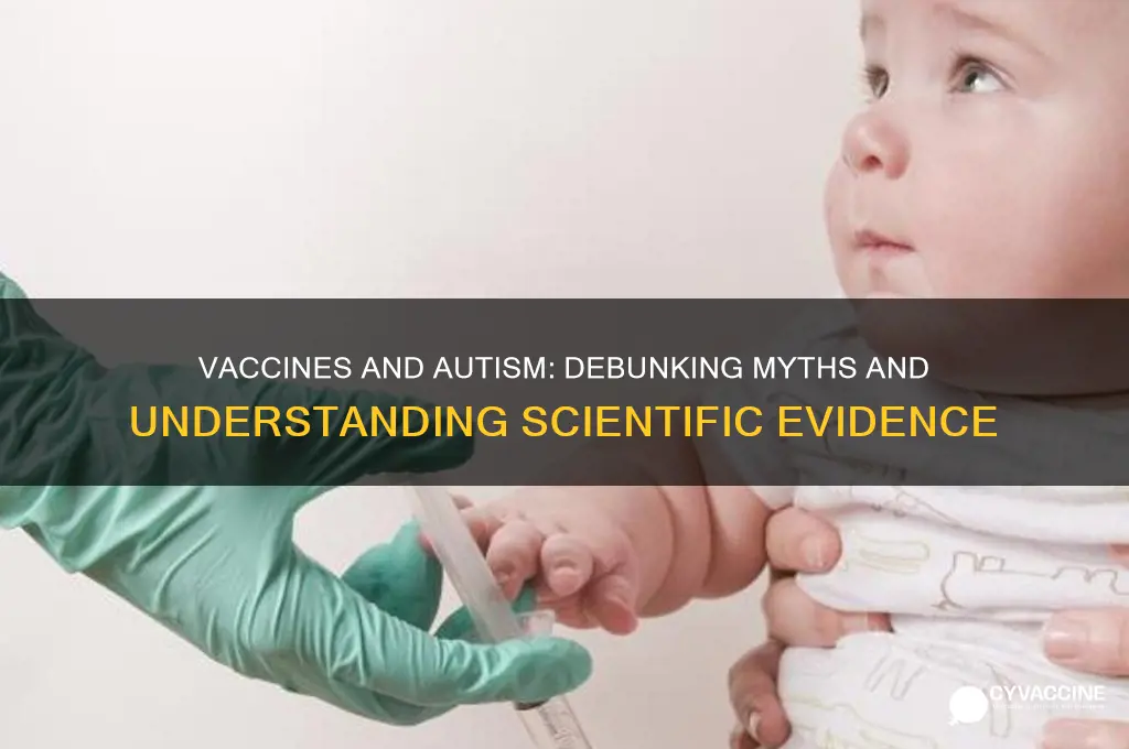 what are the correlations between vaccines and autism