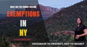 Current NY Vaccine Exemptions: What You Need to Know