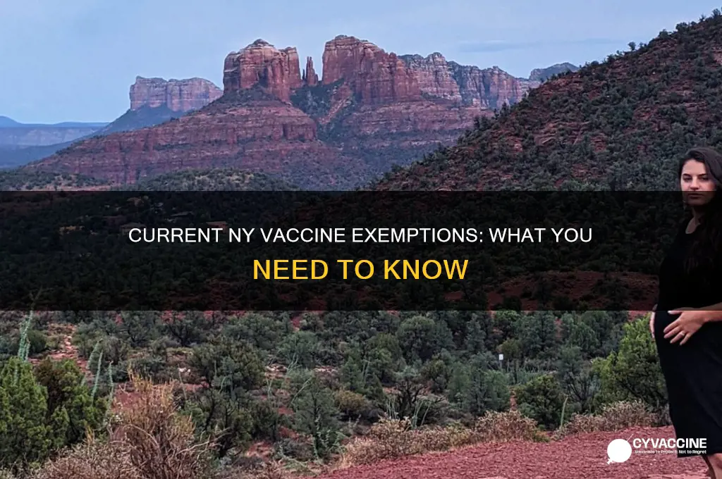 what are the currnt vaccine exemptions in ny