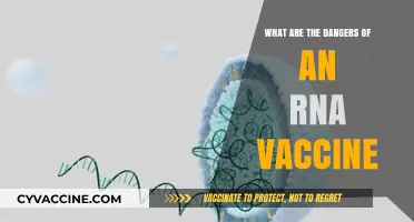 RNA Vaccines: Uncovering Potential Risks and Safety Concerns