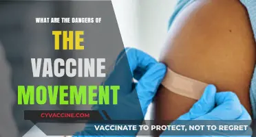 Vaccine Movement Dangers: Unveiling Risks to Public Health and Safety