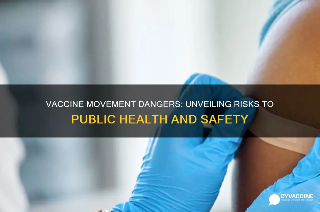 what are the dangers of the vaccine movement