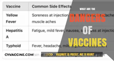 Unveiling Vaccine Risks: Potential Dangers and Safety Concerns Explored