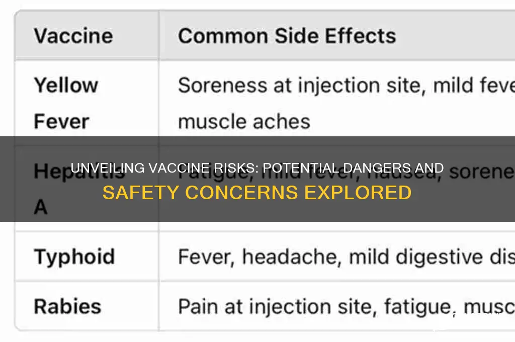 what are the dangers of vaccines