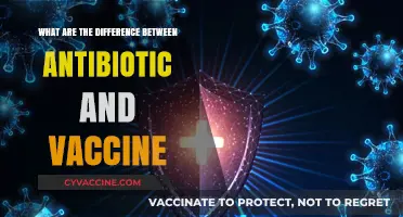 Antibiotics vs. Vaccines: Understanding Their Unique Roles in Health
