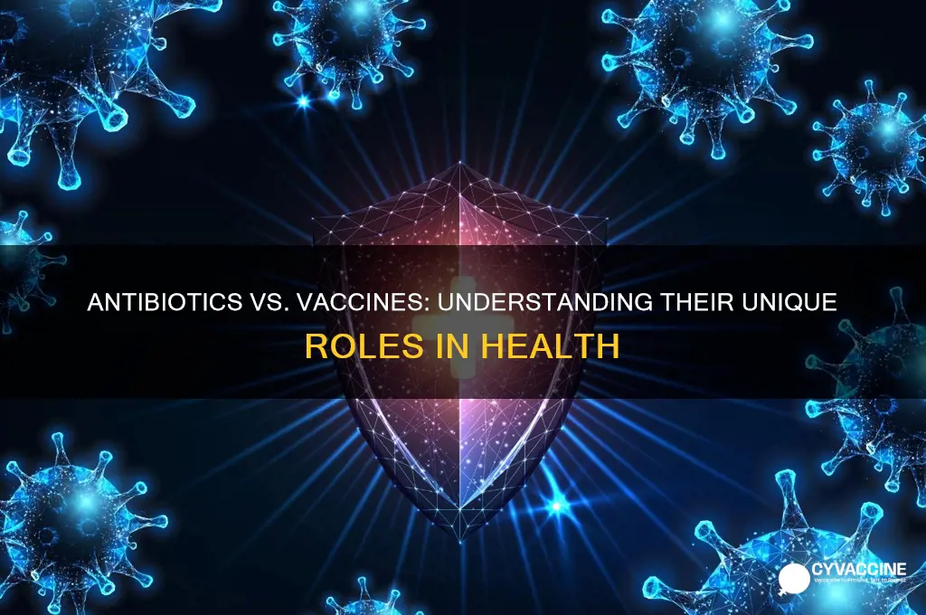 what are the difference between antibiotic and vaccine