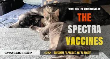 Spectra Vaccines Compared: Key Differences and Their Impact Explained