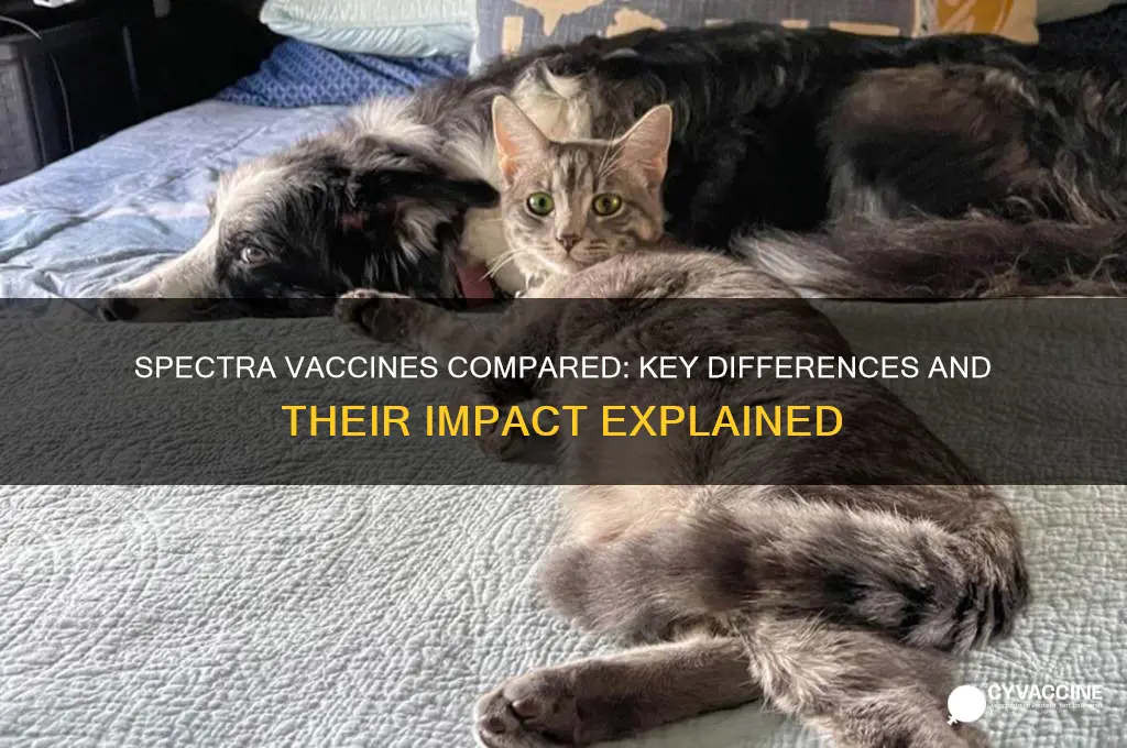 what are the differences in the spectra vaccines