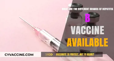 Exploring Top Hepatitis B Vaccine Brands and Their Availability