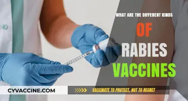 Exploring Various Types of Rabies Vaccines for Prevention and Protection
