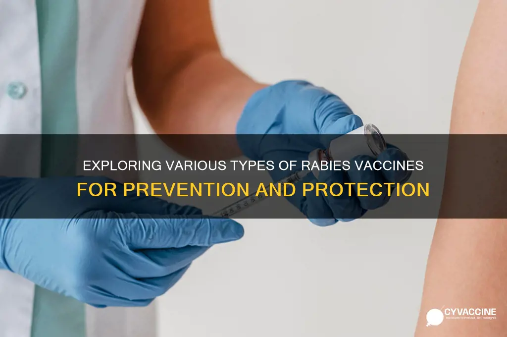 what are the different kinds of rabies vaccines