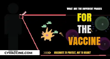 Understanding the Key Phases in Vaccine Development and Approval