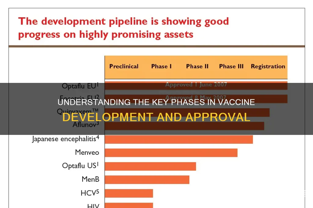 what are the different phases for the vaccine