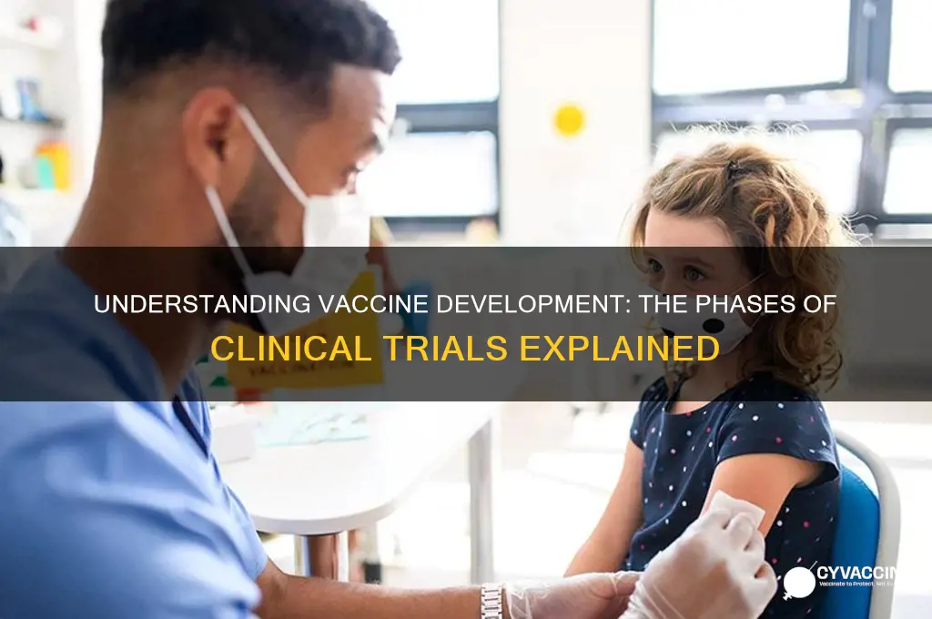 what are the different phases of clinical trials for vaccines
