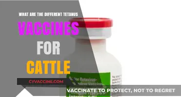 Essential Tetanus Vaccines for Cattle: Types and Their Importance