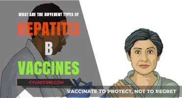 Understanding Hepatitis B Vaccines: Types, Uses, and Protection