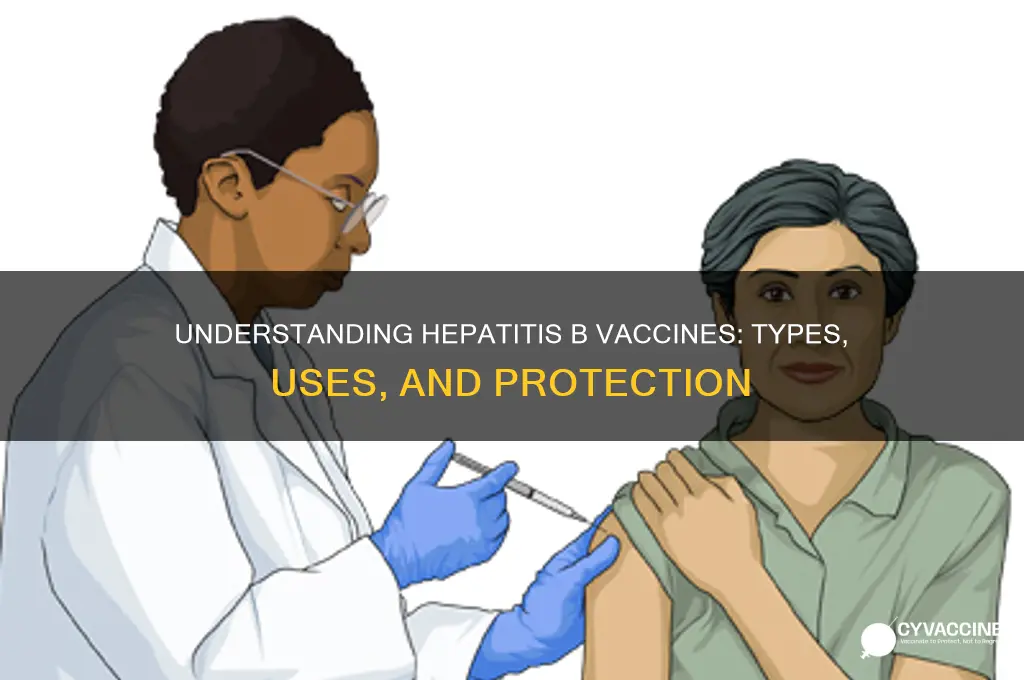 what are the different types of hepatitis b vaccines