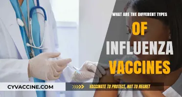 Exploring the Various Types of Influenza Vaccines Available Today