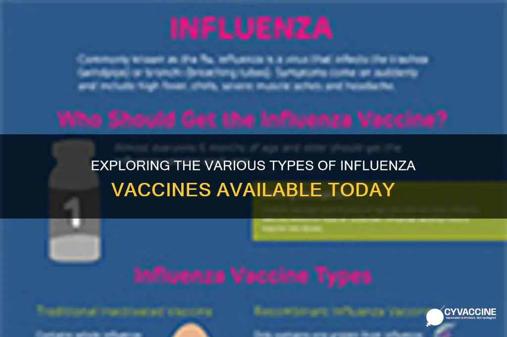 what are the different types of influenza vaccines