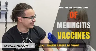 Understanding Meningitis Vaccines: Types, Benefits, and Protection Options