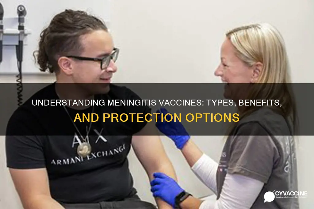 what are the different types of meningitis vaccines