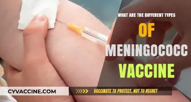 Understanding Meningococcal Vaccines: Types, Uses, and Protection