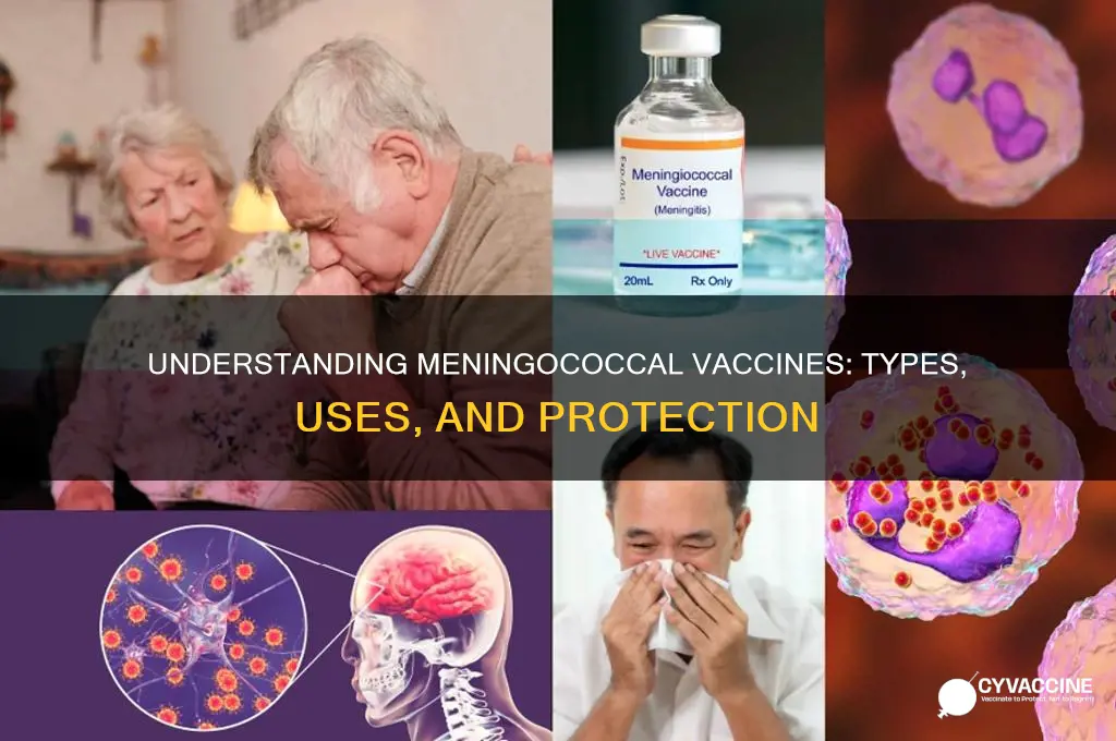 what are the different types of meningococcal vaccine