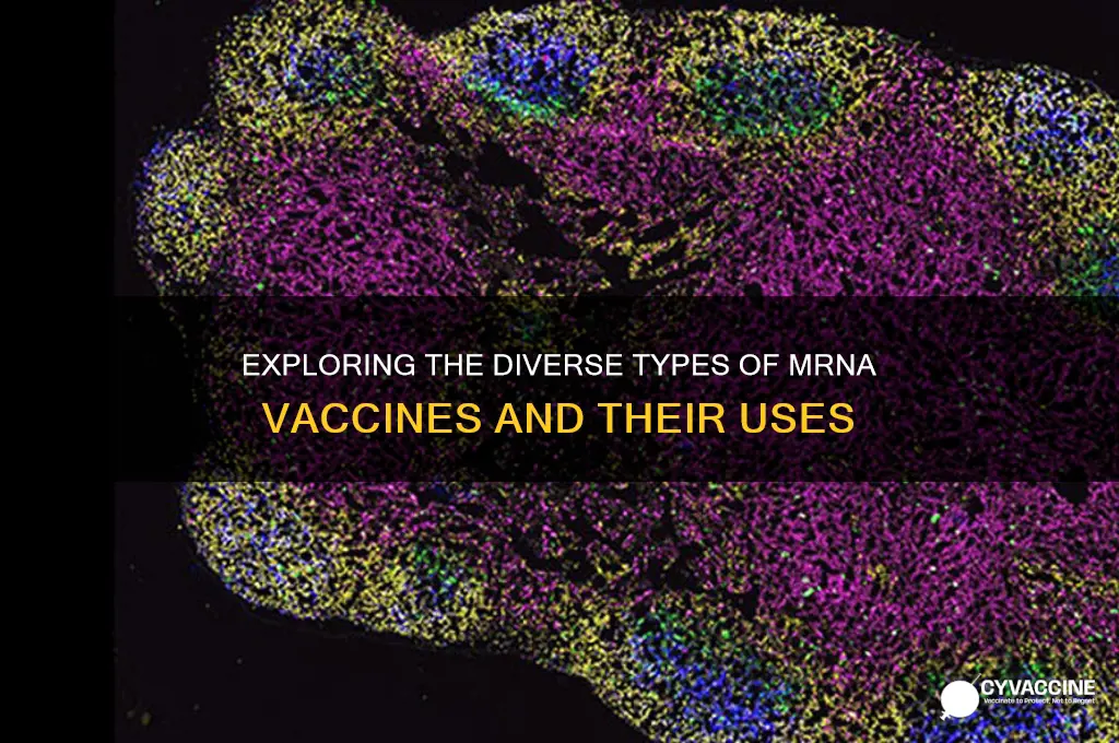 what are the different types of mrna vaccines