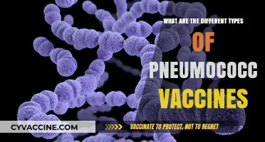 Understanding Pneumococcal Vaccines: Types, Uses, and Protection Explained