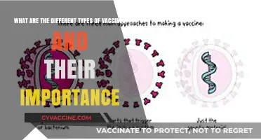 Understanding Vaccine Types: Their Role in Preventing Diseases and Saving Lives