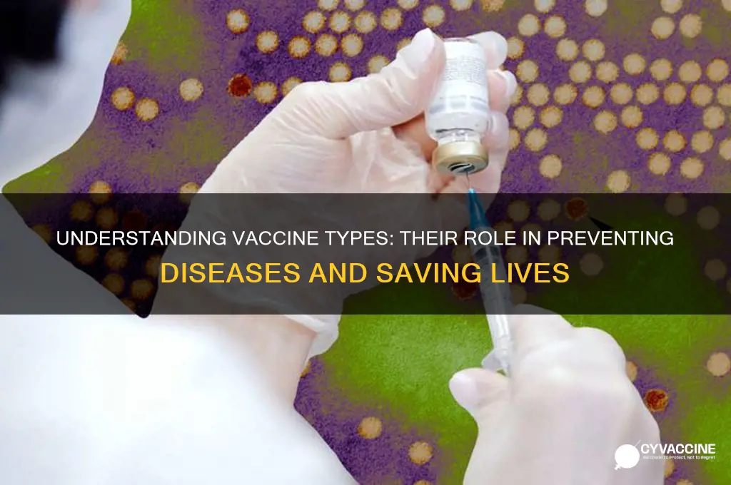 what are the different types of vaccines and their importance