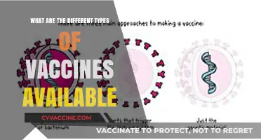Exploring the Diverse Types of Vaccines Available Today