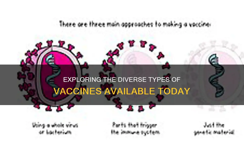 what are the different types of vaccines available