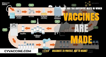 Exploring Diverse Methods: How Vaccines Are Manufactured Today