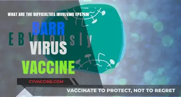 Challenges in Developing an Effective Epstein-Barr Virus Vaccine