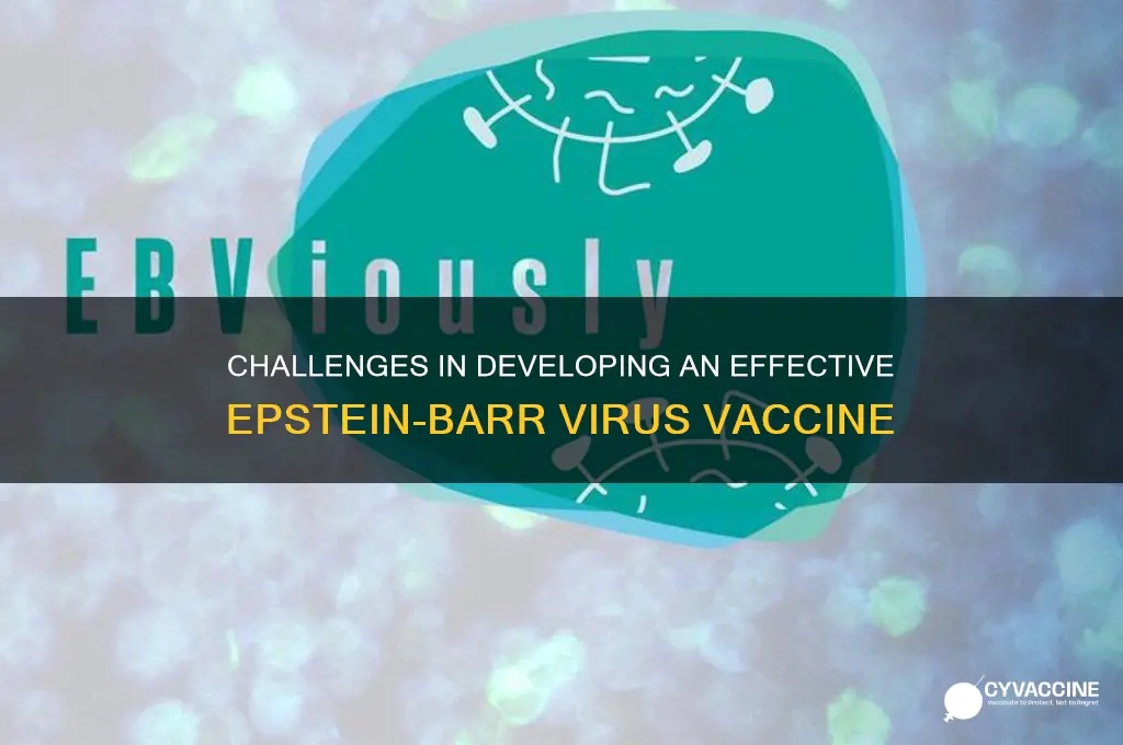 what are the difficulties involving epstein barr virus vaccine