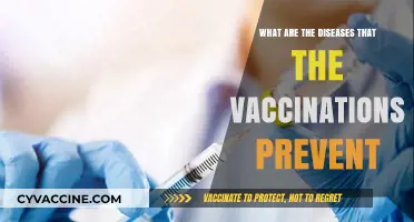 Vaccinations Prevent Diseases: A Guide to Immunization Benefits