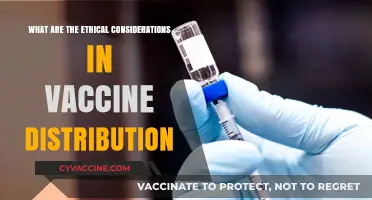 Ethical Dilemmas in Global Vaccine Distribution: Fairness, Access, and Responsibility