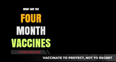 Understanding Your Baby's 4-Month Vaccines: A Parent's Essential Guide