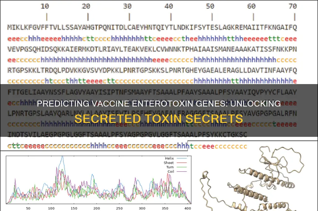 what are the gene for predicting vaccine secreted enterotoxin