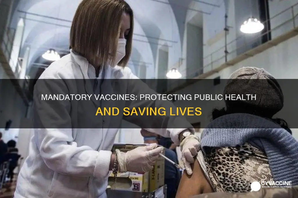 what are the good things about mandatory vaccines