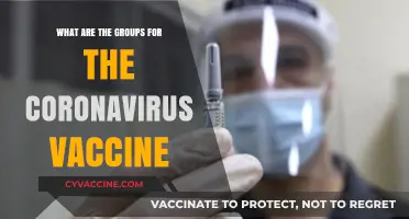 Understanding Coronavirus Vaccine Groups: Who Gets Vaccinated When?