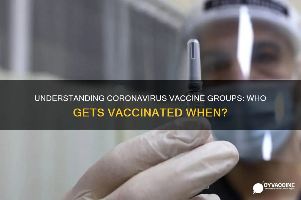 what are the groups for the coronavirus vaccine