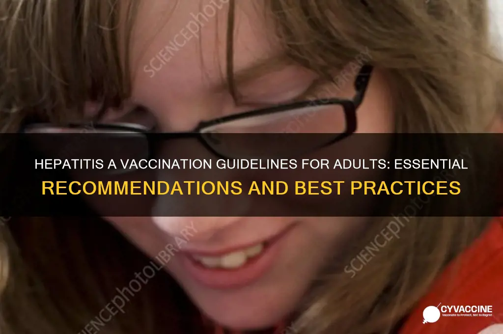 what are the guidelines for hepatitis a vaccinations in adults