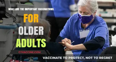 Essential Vaccinations for Seniors: Protecting Older Adults' Health and Well-being