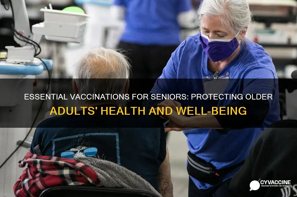 what are the important vaccinations for older adults