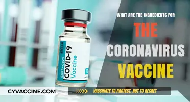 Unveiling the Key Ingredients in the Coronavirus Vaccine Development