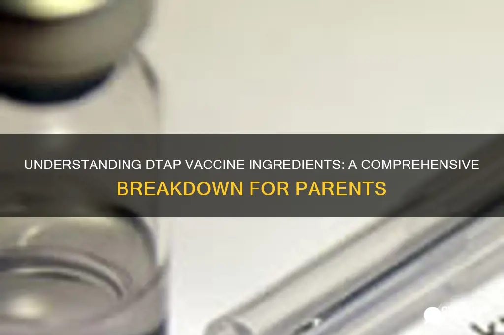 what are the ingredients in a dtap vaccine