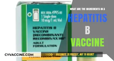 Understanding Hepatitis B Vaccine: Key Ingredients and Their Role