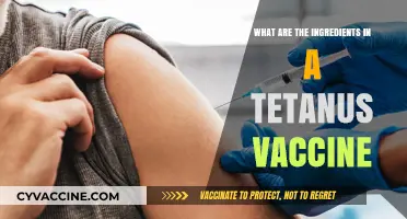 Tetanus Vaccine Ingredients: Understanding the Components and Their Role